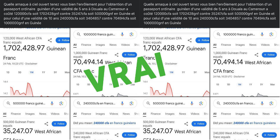 Vrai, le passeport guinéen coûte plus cher au Cameroun qu’en Guinée !