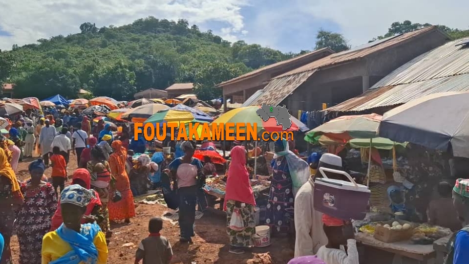 Koubia : immersion dans le marché hebdomadaire de Bassara vieux de plus de 100 ans