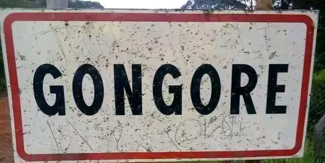 Affrontements entre les habitants de Gongoré et de Maci : voici la version du sous-préfet de Gongoré