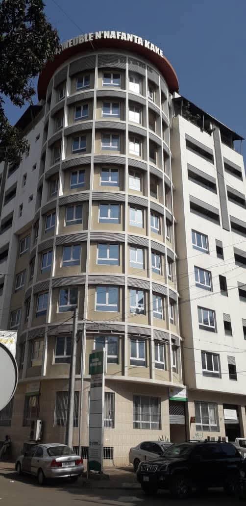 Justice : l’État guinéen met en vente le patrimoine colossal de Dr Diané, ex-ministre de la défense nationale