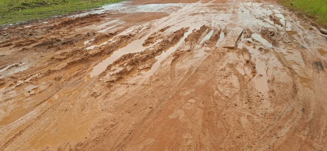 Labé : la dégradation avancée des routes plonge la population dans la détresse (constat)