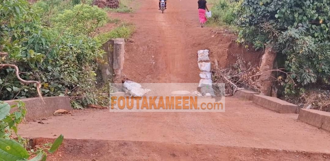 Pont effondré entre Madina et Donghol (Labé) : faute d’intervention des autorités, les habitants remblaient le passage pour circuler