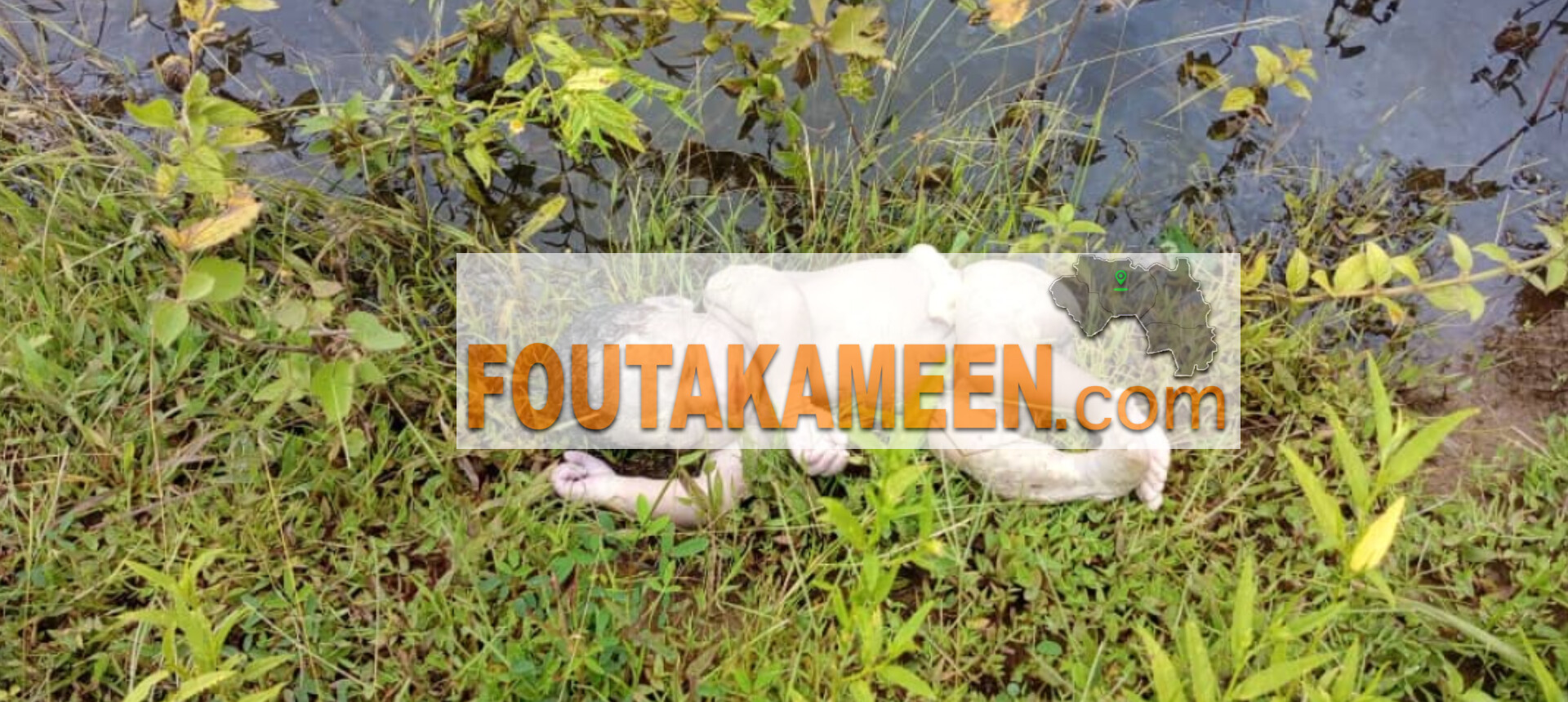 Labé – Popodara : une adolescente accouche et jette son bébé dans une fosse septique remplie d’eau