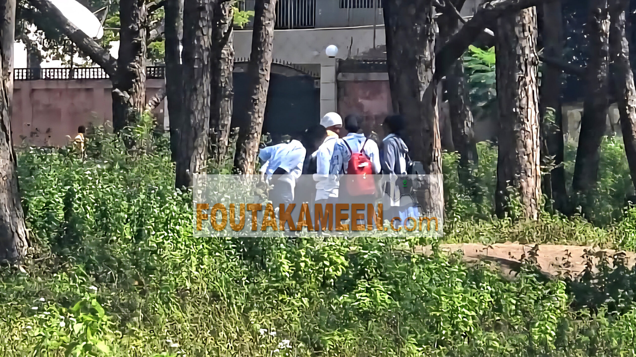 École buissonnière, selfies et stupéfiants : les sapins de Tata (Labé), nouveau refuge des élèves en fuite des classes École buissonnière, selfies et stupéfiants : les sapins de Tata (Labé), nouveau refuge des élèves en fuite des classes