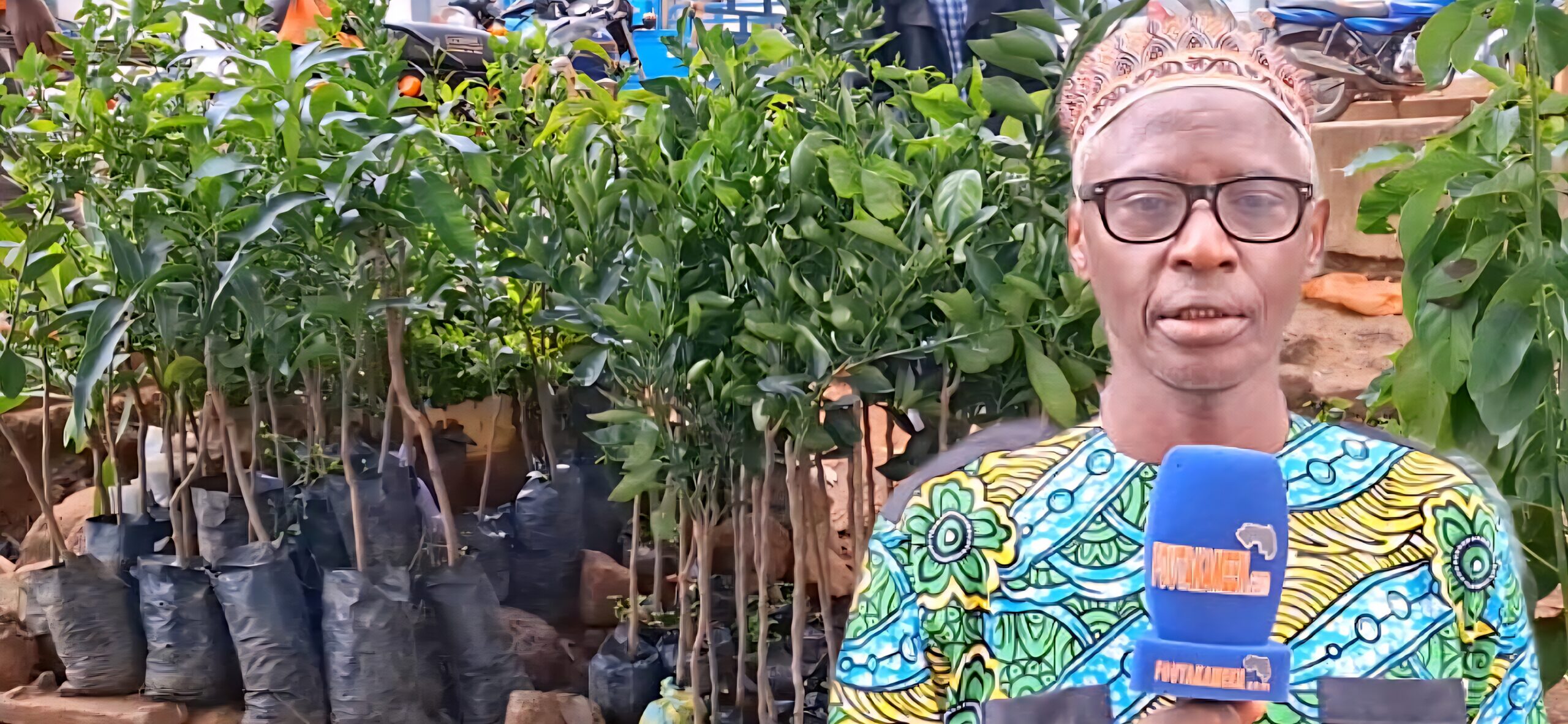 Labé : Mamadou Kobera Diallo confirmé Inspecteur régional de l’Environnement et du développement durable Labé : Mamadou Kobera Diallo confirmé Inspecteur régional de l’Environnement et du développement durable