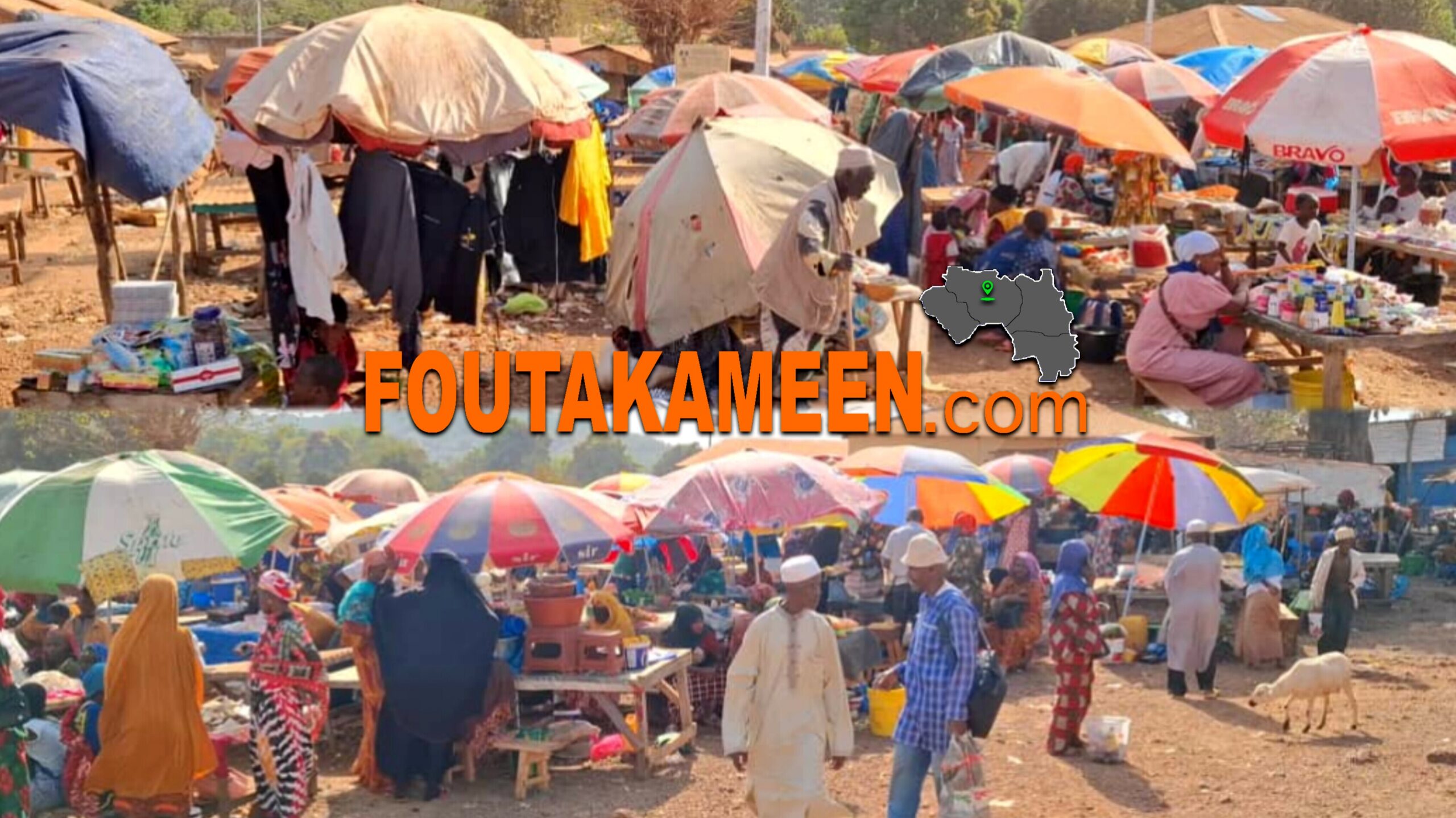 Tangaly (Tougué) : sans hangar ni clientèle, des vendeurs sous un soleil accablant, un marché hebdomadaire à l’agonie